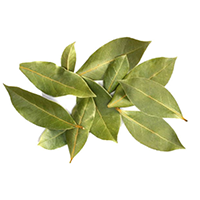 BayLeaves modified