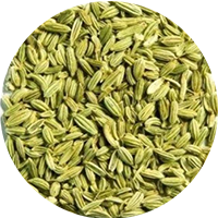 fennel seeds modified